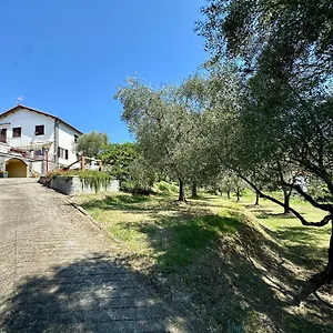  Bed & Breakfast Uliveto Bartolomeo